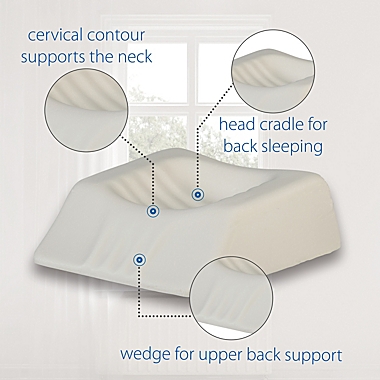 Therapeutica Travel Pillow. View a larger version of this product image.