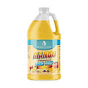 Bastion Mango Foaming Antibacterial Hand Soap Refill Jug