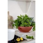 Alternate image 1 for HC Companies Round Plastic Garden Bowl Planter, Clay Color, 12&reg;