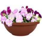 Alternate image 2 for HC Companies Round Plastic Garden Bowl Planter, Clay Color, 12&reg;