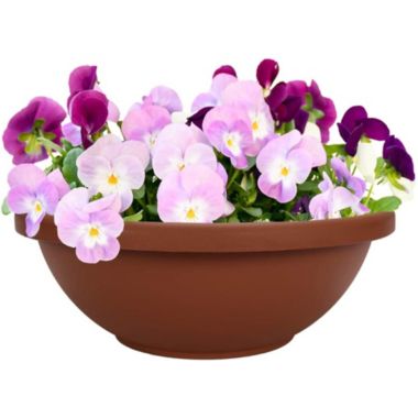 HC Companies Round Plastic Garden Bowl Planter, Clay Color, 12&reg;. View a larger version of this product image.