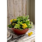 Alternate image 3 for HC Companies Round Plastic Garden Bowl Planter, Clay Color, 12&reg;
