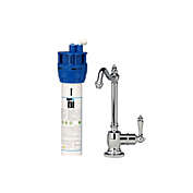 AquaNuTech AquaNuTech Hook Spout Cold Water Only Filtration Faucet with Filtration System, Chrome