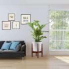 Alternate image 1 for TQS Adjustable Plant Stand Holder Rack