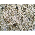 Alternate image 0 for Shafer Seed Company Safflower Seed - 25 lb