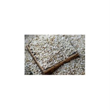 Shafer Seed Company Safflower Seed - 25 lb. View a larger version of this product image.