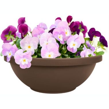 The HC Companies Garden Bowl Flower Pot Planter, Chocolate Brown, 18". View a larger version of this product image.