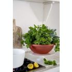 Alternate image 2 for The HC Companies Garden Bowl Flower Pot Planter, Chocolate Brown, 18"