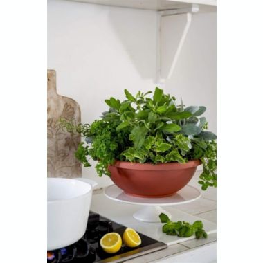 The HC Companies Garden Bowl Flower Pot Planter, Chocolate Brown, 18". View a larger version of this product image.