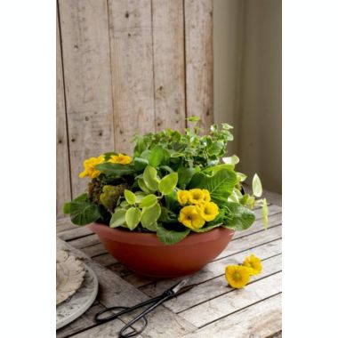 The HC Companies Garden Bowl Flower Pot Planter, Chocolate Brown, 18". View a larger version of this product image.