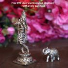 Alternate image 3 for Cottage Handicraft, Silver Plated Krishna Ji with free Elephant Gift