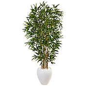HomPlanti 5&#39; Bamboo Tree in Oval White Planter