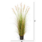 Alternate image 2 for Nearly Natural 5.5&#39; Artificial Plume Grass Plant in Black Planter