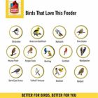 Alternate image 3 for More Birds 108IN Surefil Lg Lantrn Feeder, 3.8 lb Seed Capacity, Hunter Green