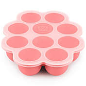 KeaBabies Silicone Baby Food Freezer Tray with Clip-on Lid, Dishwasher, Microwave, BPA-Free Baby Food Storage (Blossom)