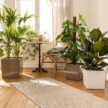 Lechuza USA 20" Red Glossy Cube Planter with Water Reservoir. View a larger version of this product image.