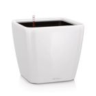 Alternate image 0 for Lechuza USA 11" White Quadro Premium Planter with Water Reservoir