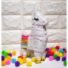 Alternate image 2 for Blue Panda Llama Pinatas for Kids Birthday Party, Cinco De Mayo (10.5 x 5 in, 3 Pack)