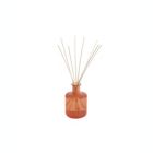 Alternate image 0 for Pier 1 Pink Grapefruit Reed Diffuser 8oz