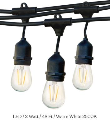 Ambience Pro LED String Lights - S14, 2W, 48ft, 2500K