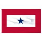 Alternate image 0 for Annin Blue Star Service Flag 3ft x 5ft Nylon