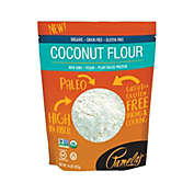 Pamela&#39;s Gluten Free, Organic Coconut Flour, 14 OZ