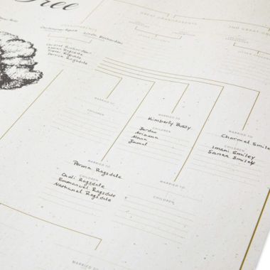 Okuna Outpost Blank Genealogy Chart, My Family Tree (17 x 22 Inches, 15 Pack). View a larger version of this product image.