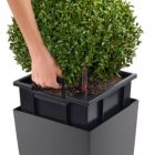 Alternate image 3 for Lechuza USA 30" Red Cubico Premium Planter with Water Reservoir