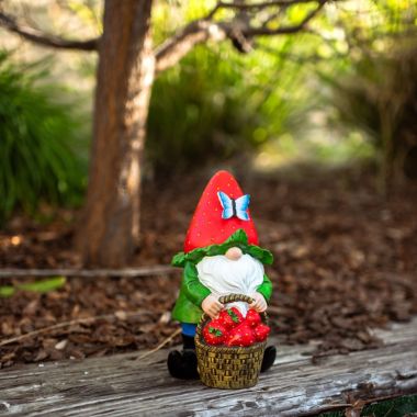 VP Home Strawberry Gnome Solar Powered LED Outdoor Decor Garden. View a larger version of this product image.