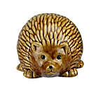 Alternate image 0 for Roman 3.5" Pudgy Pals Relaxed Spined Tan Porcelain Hedgehog Table Top and Garden Figure
