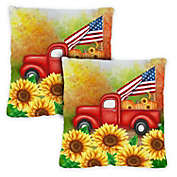 Toland Home Garden Set of 2 Pumpkin and Sunflower Patriotic Outdoor Patio Throw Pillow Covers 18"