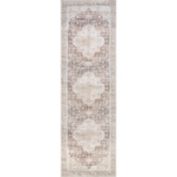 nuLOOM Rosa Machine Washable Distressed Vintage Medallion Area Rug