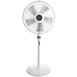Holmes Oscillating 16 Inch Blade Staind Fan with Metal Grill in White