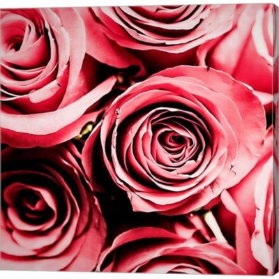 Modern Red Rose Flowers Roses Floral Photo Wall Art Canvas Landscape RMC 