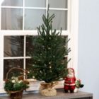 Alternate image 1 for Sunnydaze 3-Foot Tall Festive Pine Pre-Lit Artificial Christmas Tree