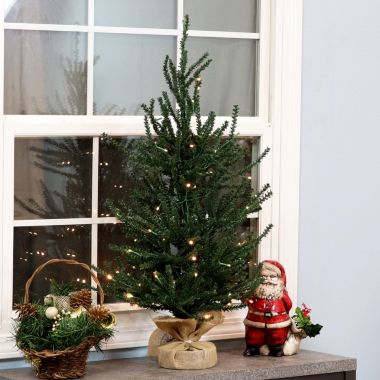 Sunnydaze 3-Foot Tall Festive Pine Pre-Lit Artificial Christmas Tree. View a larger version of this product image.