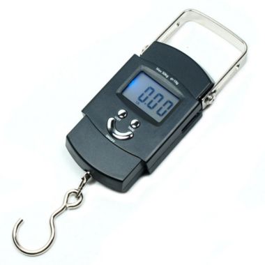 Horizon Digital Hanging Scale 50KG 110lbs x 0.02lb. View a larger version of this product image.