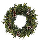 Alternate image 0 for Nearly Natural Modern Holiday Decorative 24" Snowed Pinecone Artificial Christmas Wreath with 35 Clear LED Lights