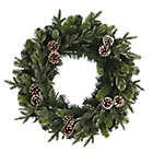 Alternate image 1 for Nearly Natural Modern Holiday Decorative 24" Snowed Pinecone Artificial Christmas Wreath with 35 Clear LED Lights