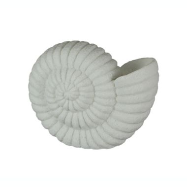 Contrast White Sandstone Finish Nautilus Shell Coastal Art Accent Table Lamp 10 Inches High. View a larger version of this product image.