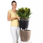 Alternate image 2 for Lechuza USA 17" Black Round Classico Planter with Water Reservoir