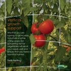 Alternate image 1 for Gardeneer by Dalen (#TP-30C) Trellis Netting for Verticle Gardening- 5ft x 30ft
