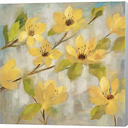 Great Art Now Golden Bloom II Neutral by Silvia Vassileva 24-Inch x 24-Inch Canvas Wall Art