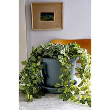 The HC Companies Classic Planter, Warm Gray, 6". View a larger version of this product image.