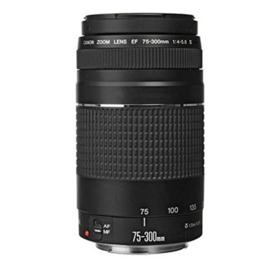 Canon EF 75-300mm Autofocus Lens Bundle f/ Canon EOS Rebel T6 T6i 70D 80D Camera. View a larger version of this product image.