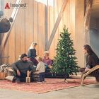 Alternate image 1 for Tree Nest Decorations (#220515) Gentle Tree Stand, White