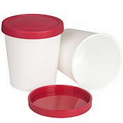 Kitcheniva Freezer Storage Tubs 1 Quart Reusable 2 Pack Red