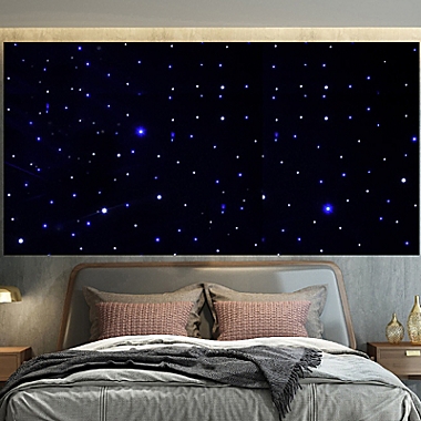 bøf gøre ondt plasticitet Stock Preferred LED Stage Backdrop Party Curtain Velvet Star With DMX  Controller 3x4M | Bed Bath & Beyond