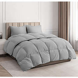 CGK Unlimited Goose Down Alternative Comforter Set - Queen - Light Gray