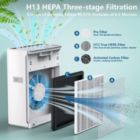 Alternate image 2 for Inq Boutique Home Air Purifier for Large Room True HEPA Air Filter Cleaner with Sleep Mode 5 Timer 3 Speed Adjustable, Activated Carbon, Great Smart Silent Air Cleaner for Pollen, Smoke,Dust,Pet Dander